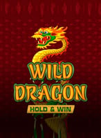 Wild Dragon Hold & Win