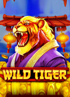Play the Best Bgmng Games at 21bit Casino - 21Bit casino