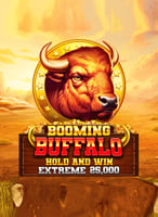 Best Online Casino Games | Play Casino Games Online - 21Bit casino