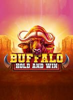 Best Online Casino Games | Play Casino Games Online - 21Bit casino