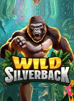 Spill de beste Booming-spillene på 21bit Casino - 21Bit casino