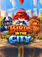Birds in the City
