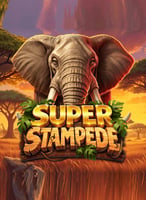 Pelaa parhaita Bsg -pelejä 21bit Casinolla - 21Bit casino