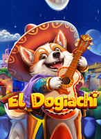 Spielen Sie die besten New  Spiele bei 21bit Casino - 21Bit casino