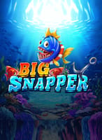 Big Snapper
