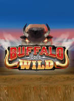 Buffalo Goes Wild