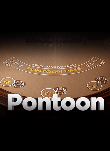 Spill på det største onlinekasino-bordspillbiblioteket - 21Bit casino