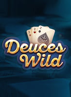 Spielen Sie die besten Video Poker Spiele bei 21bit Casino - 21Bit casino