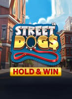 Street Dogs