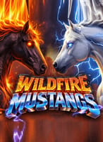 Wildfire Mustangs