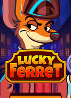 Lucky Ferret