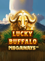Play the Best Reevo Games at 21bit Casino - 21Bit casino