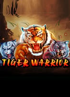 Tiger Warrior