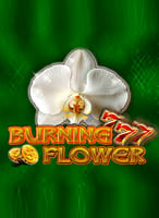 Burning Flower