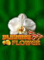 Jouez aux meilleurs jeux de Technology sur 21bit Casino - 21Bit casino
