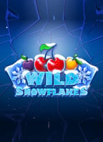 Play the Best Tomhornnative Games at 21bit Casino - 21Bit casino