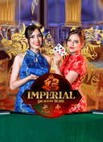 Play the Best Vivogaming Games at 21bit Casino - 21Bit casino